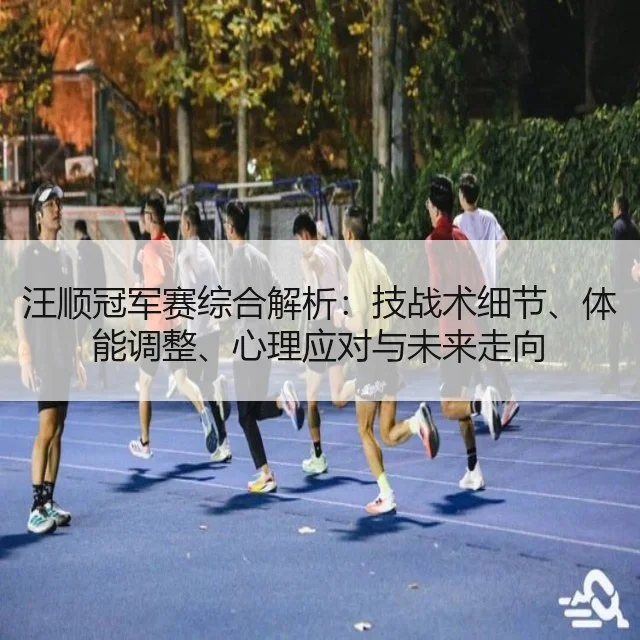 汪顺冠军赛综合解析：技战术细节、体能调整、心理应对与未来走向